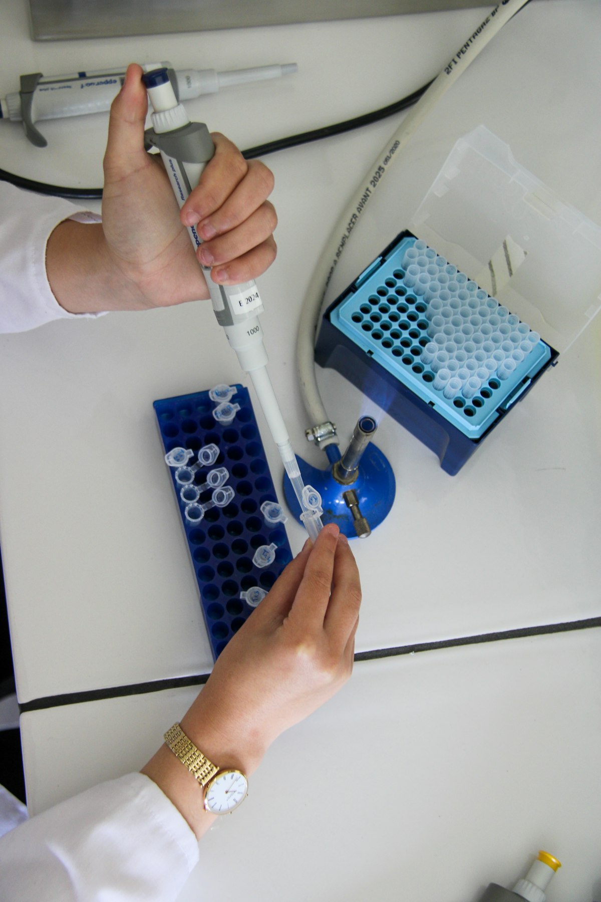 Professionnel manipulant une pipette en laboratoire